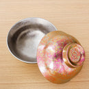 Axyaa Double-Layer Titanium Bowl & Spoon Set - Large, Anti-Scalding, Vacuum Tableware