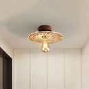 Axyaa Nordic Smart LED Ceiling Light for Home Decor, Dimmable Indoor Lamparas