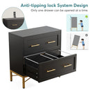 Axyaa 2 Drawer Lateral File Cabinet for Letter/Legal/A4 Size, Modern File Storage