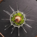 Axya Glass Urchin Dim Sum Bowl Set - Restaurant Quality Seafood-Themed Tableware
