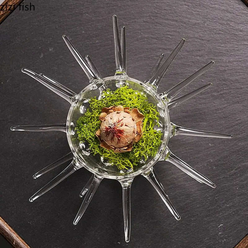 Axya Glass Urchin Dim Sum Bowl Set - Restaurant Quality Seafood-Themed Tableware