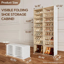 Axyaa Stackable Shoe Rack Organizer with Clear Magnetic Door, Large Plastic Cabinet