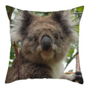 Axyaa Koala Panda Polyester Pillow Cover 45x45cm