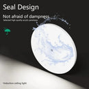 Axyaa Motion Sensor LED Ceiling Light for Corridor Staircase Home Garage