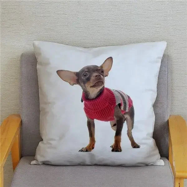 Chihuahua Dog Printed Cushion Cover by Axyaa for Home Decor