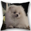 Axyaa Pomeranian Dog Pillowcase Cotton Linen Square Zipper 45X45cm Wedding Decor Pillow cover