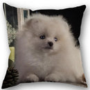 Axyaa Pomeranian Dog Pillowcase Cotton Linen Square Zipper 45X45cm Wedding Decor Pillow cover