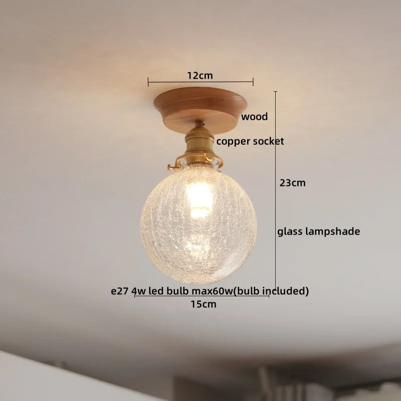 Nordic Modern Axyaa Glass LED Ceiling Lamp for Home Restaurant Balcony Lighting