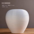 Axyaa Modern Ceramic Vases for Creative Handicrafts and Living Room Decor