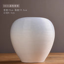 Axyaa Modern Ceramic Vases for Creative Handicrafts and Living Room Decor