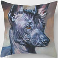 Cute Dog Pattern Square Pillow Covers For Home Decor by Axyaa