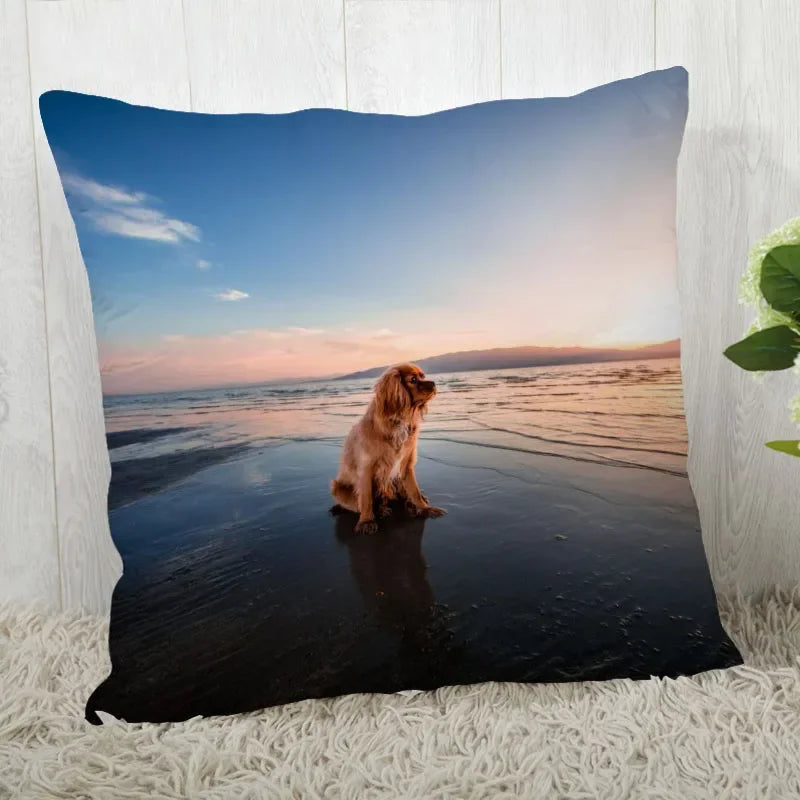 Axyaa Cocker Spaniel Sofa Cushion Cover - Creative and Simple Home Decor