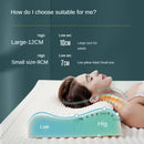 Axyaa Thai Latex Neck Pillow for Adult Cervical Spine Support