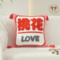 Axyaa Chic Embroidery Cushion Covers - Lucky Gift Home Decor Pillowcase
