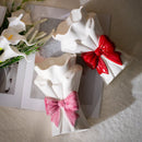 Axyaa Ceramic Vase Bow Tie Bouquet | Home Decoration & Terrarium Handicrafts