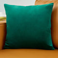 Axyaa Velvet Cushion Cover Soft Sofa Pillowcase for Living Room Bedroom