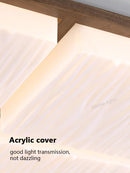 Axyaa LED Ceiling Lamp: Modern Simple Master Bedroom Light for Eye Protection & Study