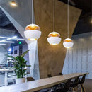 Axyaa Nordic Apple Pendant Lamp for Stylish Home Lighting