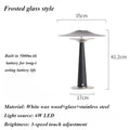 Axyaa Modern Glass Table Lamp for High-end Bedroom Ambiance