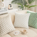 Axyaa Winter Cozy Cushion Cover - Soft Fluffy Square Pillow Cover for Home Sofa