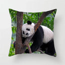 Axyaa Panda Print Polyester Cushion Cover - 45x45cm