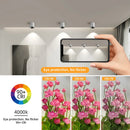 Axyaa Modern LED Spot Light Ceiling Lamp for Home Decor.