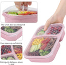 Axyaa 3-Compartment Lunch Box for Kids, Leak-proof Bento Box, Microwave Safe