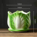 Axyaa Cabbage Flowerpot: Creative Cartoon Vegetable Basin with Tray - Garden Vase