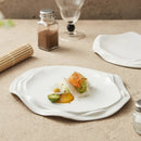 Axyaa White Ceramic Exquisite Cold Dish - Restaurant & Hotel Special
