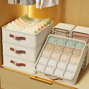 Axyaa Wardrobe Organizer Cabinet Drawer Box for Underwear Sock Bra Storage