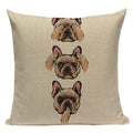 Axyaa Cozy Pug Cat Sloth Starling Fashion Pillow Cover Sofa Decor Case