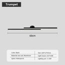 Axyaa Black Gold LED Ceiling Light 60/80cm Modern Living Room Bedroom Decor Lighting