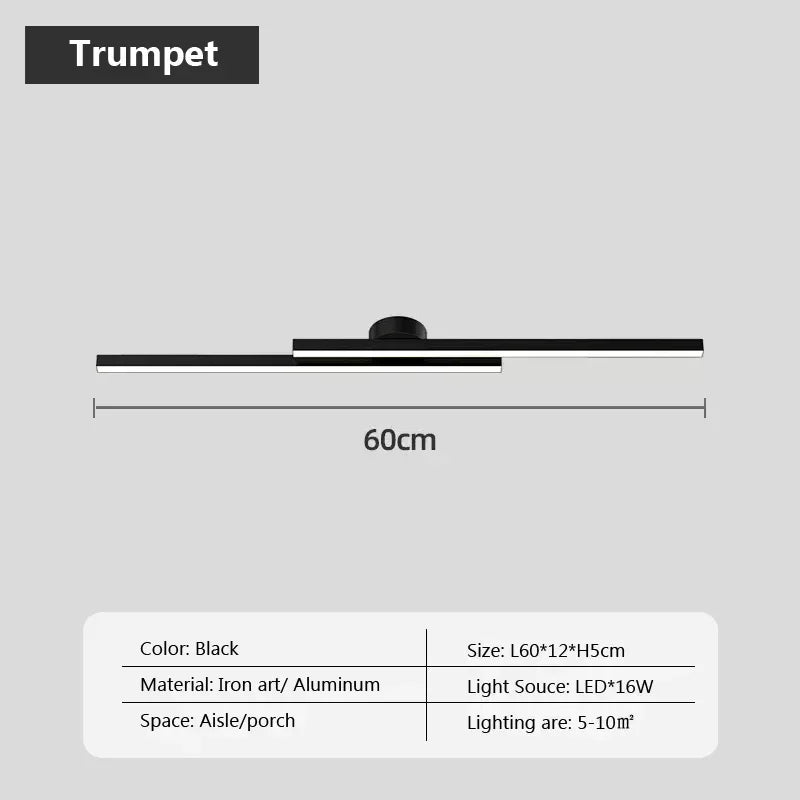 Axyaa Black Gold LED Ceiling Light 60/80cm Modern Living Room Bedroom Decor Lighting