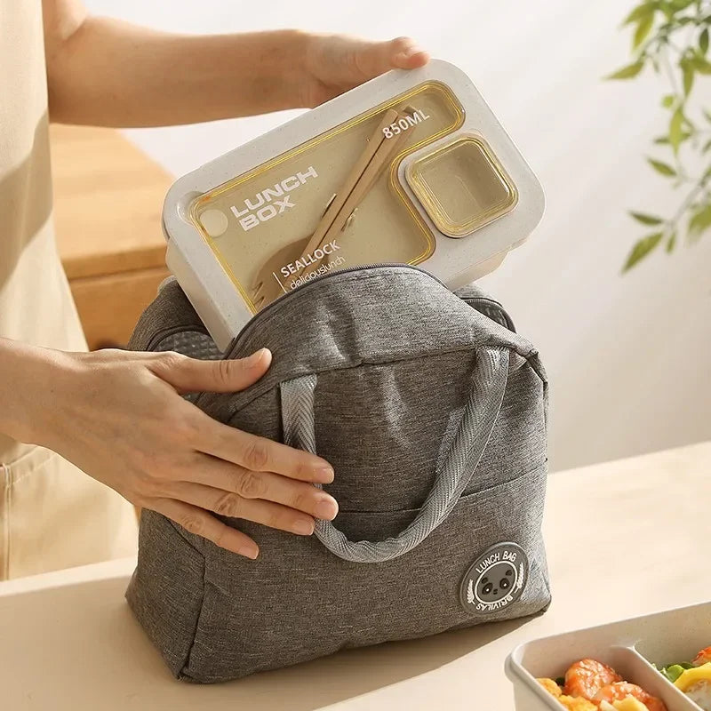 Axyaa Bento Box Set: Compact Lunch Kit with Storage Bag for School, Work, Picnic