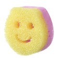 Axyaa Kitchen Sponge Cloth Brush Set - Anti Fouling Double-sided Cleaning Tool