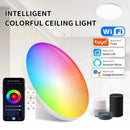 Axyaa Smart RGB WiFi Ceiling Light with Voice Control for Bedroom Decoration