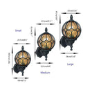 Axyaa Farmhouse Barn Light with Globe Glass Shade Wall Lantern