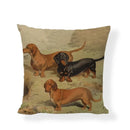 Axyaa Cute Animal Painted Cushion Covers for Home Decor and Gifts