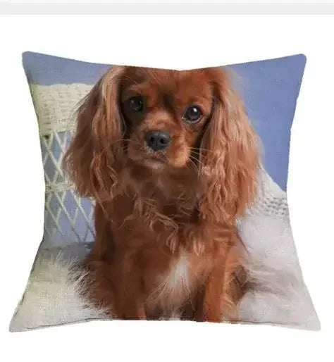 Axyaa Cavalier King Charles Spaniel Sofa Cushion Cover - Home Decor & Party Accessory