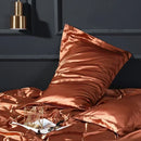 Axyaa Silk Pillowcase: Luxuriously Soft Skin-Friendly Pillow Cover