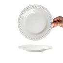 Axyaa Retro Ceramic Vegetable Plate - High Value Round Tableware
