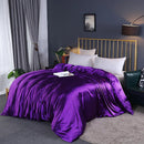 Axyaa Mulberry Silk Duvet Cover Queen Skin Beauty Comforter Cover Bed Blanket
