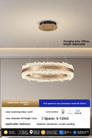 Axyaa Modern Ring Ceiling Chandelier Luxury Pendant Lamp