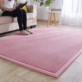 Axyaa Coral Fleece Tatami Floor Mat for Soft Bedroom Living Room Rugs