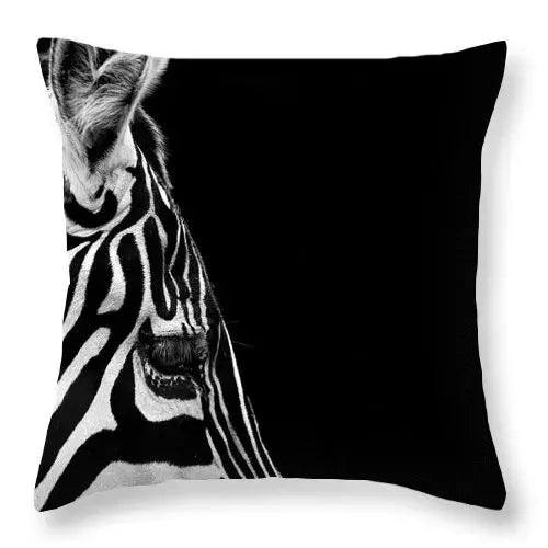Axyaa Zebra Print Polyester Cushion Cover 45X45cm for Home Decor