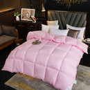 Axyaa Winter Duvet - White Goose Down Core, Double Thickened Quilt