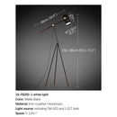 Axyaa Modern Nordic Floor Lamp for Living Rooms and Bedrooms