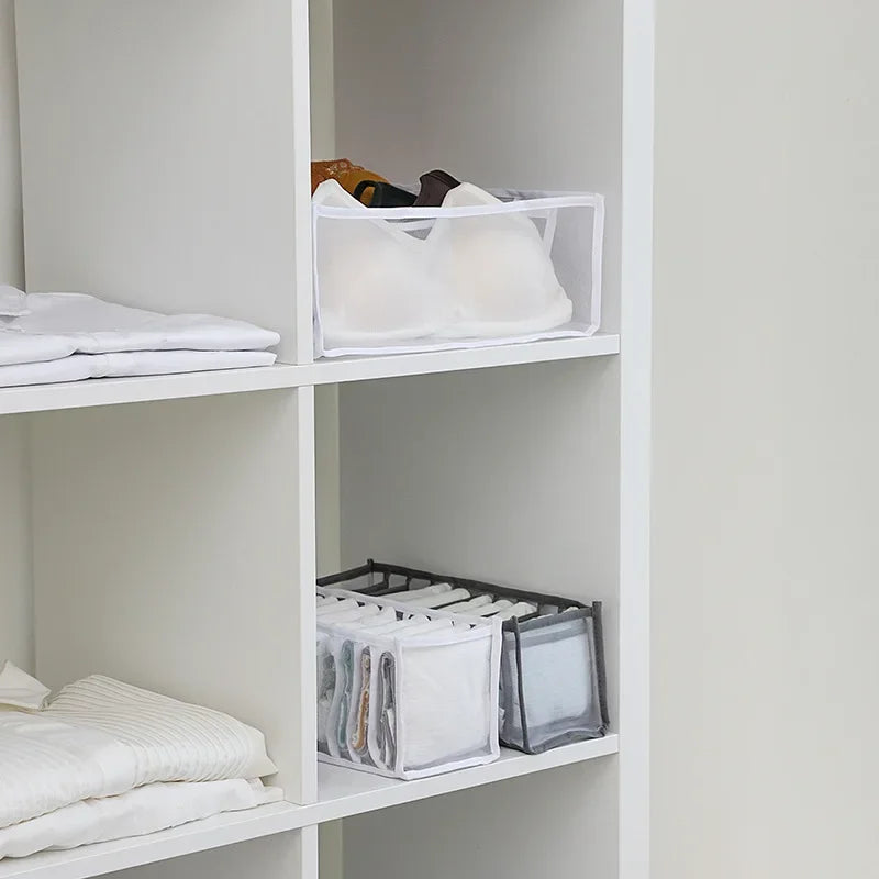 Axyaa Bra & Underwear Organizer Box for Bedroom Wardrobes