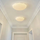 Axyaa Starry Sky LED Ceiling Light for Home Decor