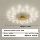 Axyaa Firework Decor LED Ceiling Lights for Living Room Bedroom Kitchen, Nordic Indoor Home Fixture